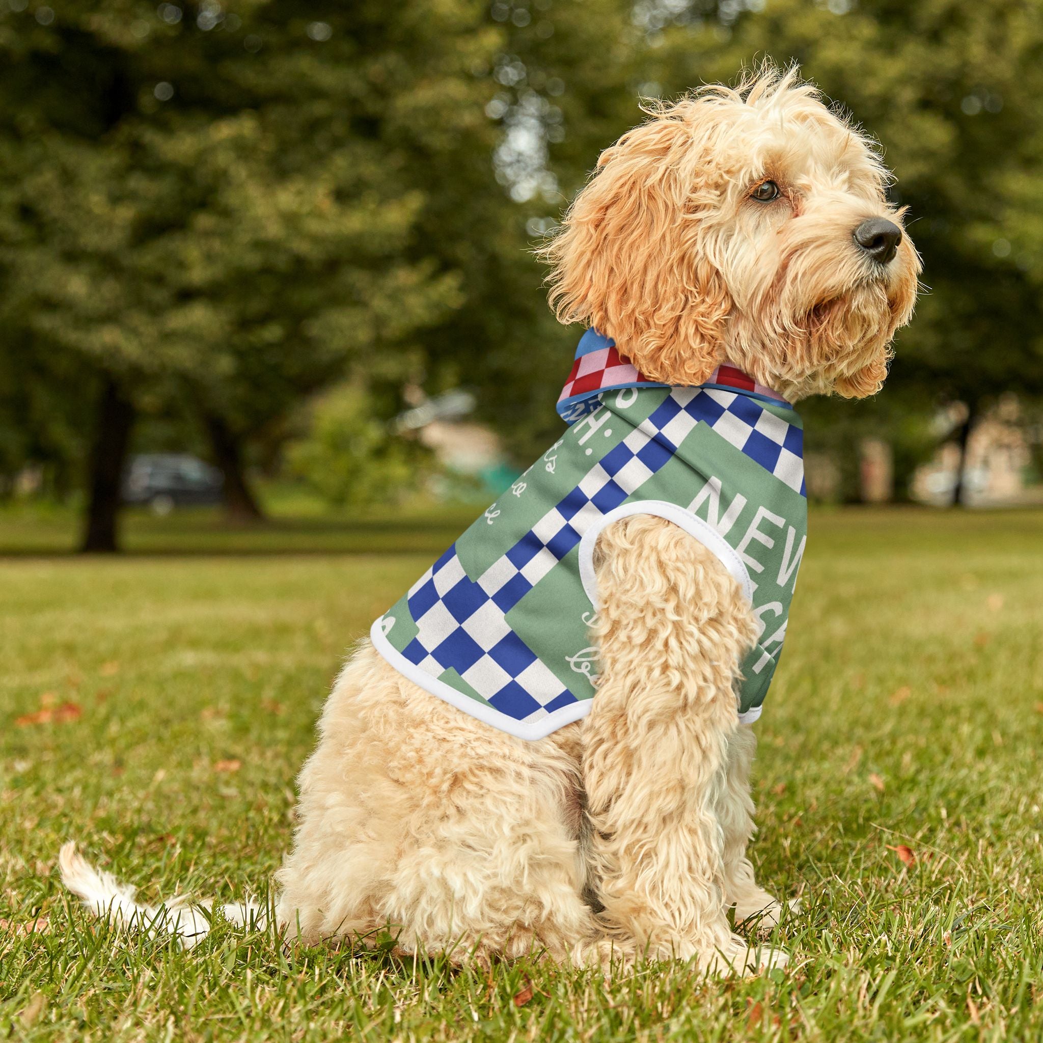 Costs 0$ To Be Nice Pet Hoodie (For Dogs and Cats)