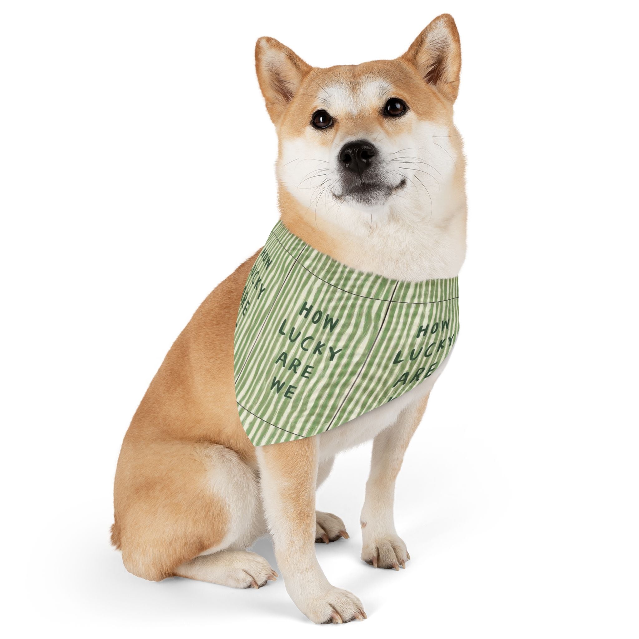 Lucky Stripe Pet Bandana Collar (For Dogs and Cats), Green