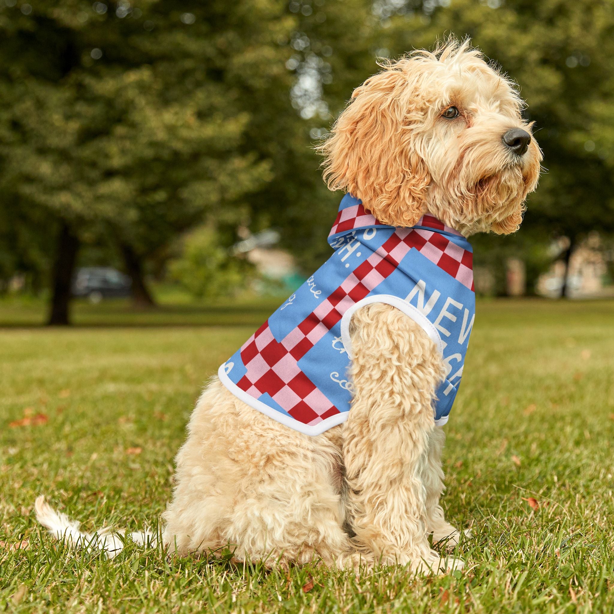 Good News Pet Hoodie (For Dogs and Cats)