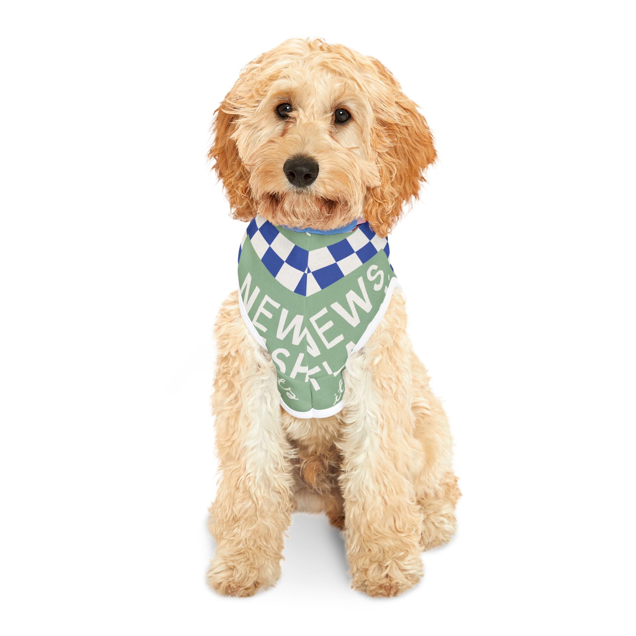 Costs 0$ To Be Nice Pet Hoodie (For Dogs and Cats)