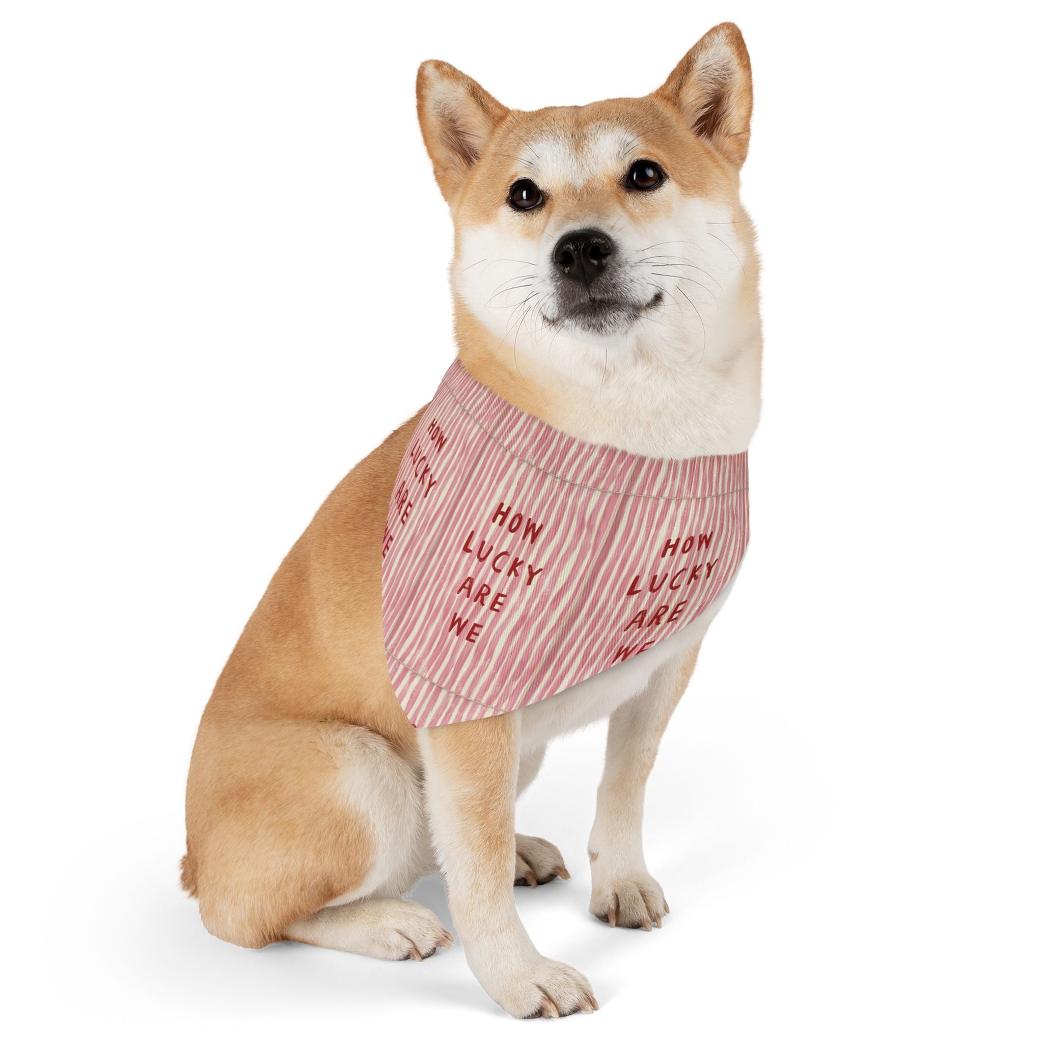 Lucky Stripe Pet Bandana Collar (For Cats And Dogs), Pink