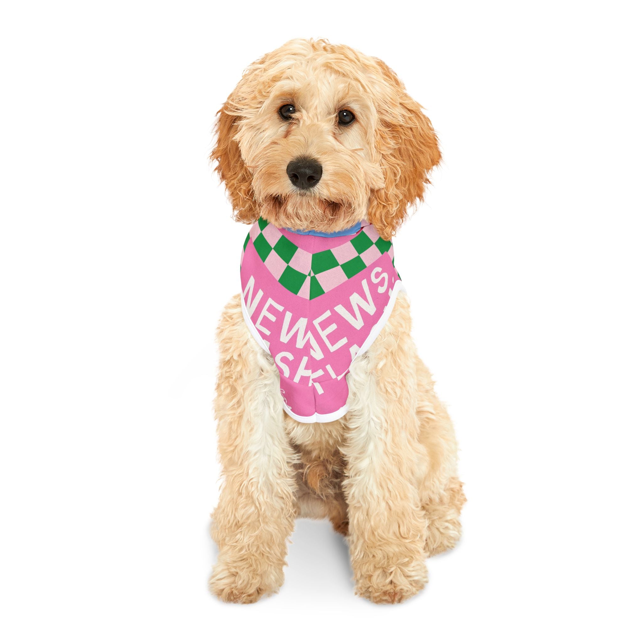 Literally Just A Girl Pet Hoodie (For Dogs And Cats)