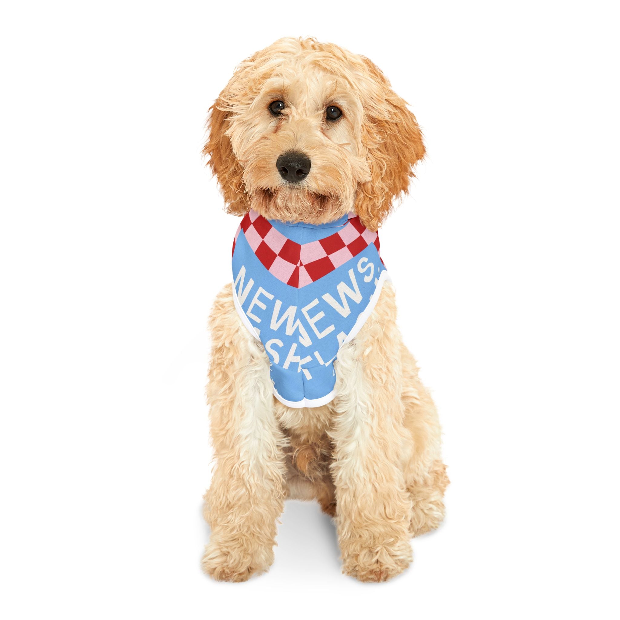 Good News Pet Hoodie (For Dogs and Cats)